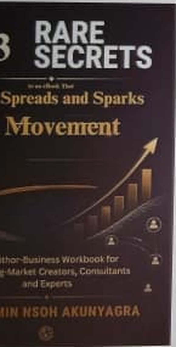 Cover of 13 Rare Secrets to an eBook That Sells, Spreads and Sparks a Movement by Benjamin Nsoh Akunyagra
